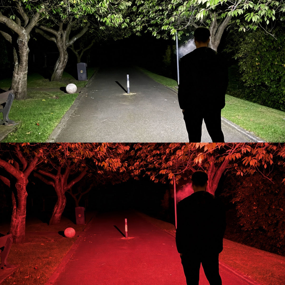 White and red light comparison