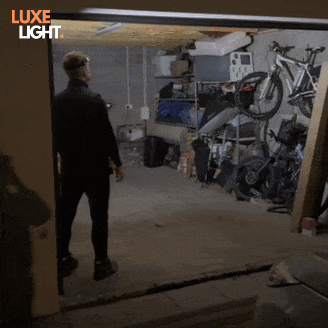 Wave sensor demonstration